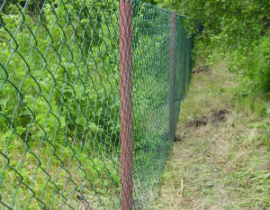 Забор из сетки рабицы 2 м*70 м зеленый